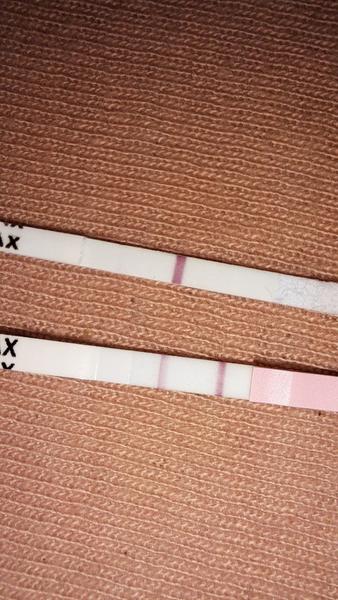 Jaké jsou rozdíly mezi ovulací a těhotenstvím?