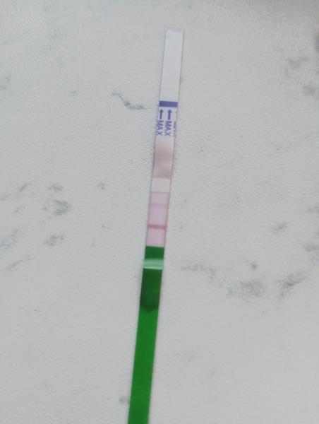 Je váš ovulační test spolehlivý? Zjistěte více nyní