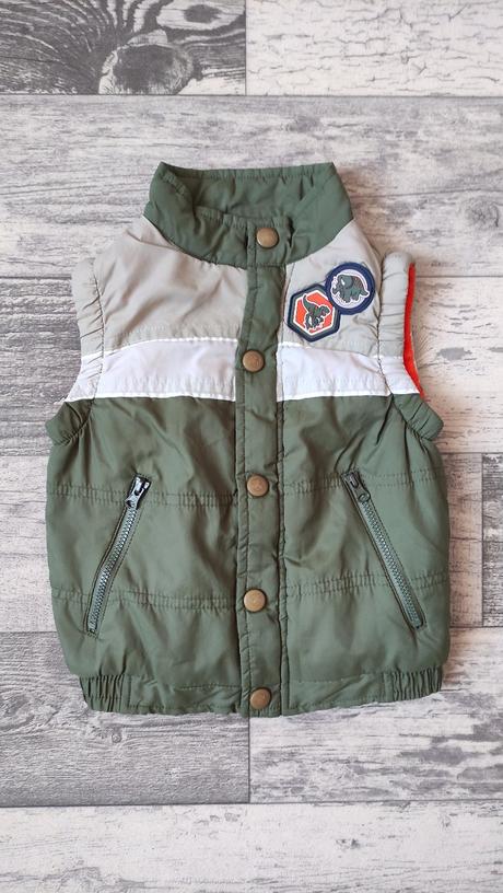 Vesta dino podšitá fleece chlapecká 80/86, 80