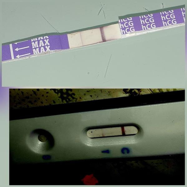 Jsem asi těhotná. Co to znamená?