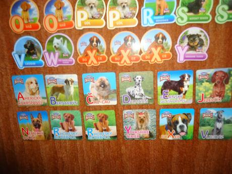 Magnety kostíci pejsci, 