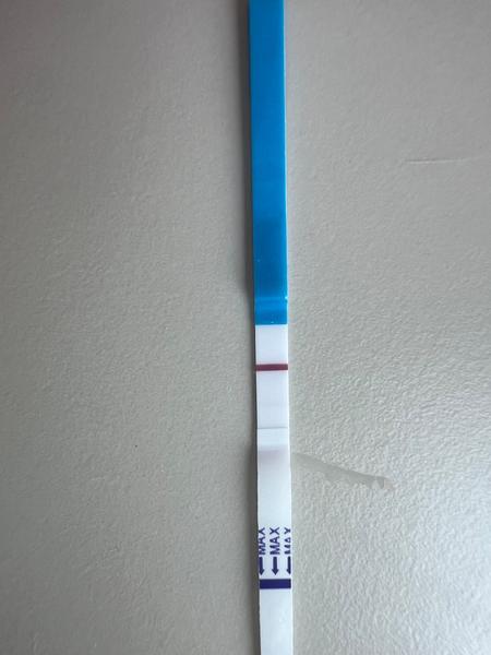 Jak rozpoznat znamení ducha na pozitivním těhotenském testu?