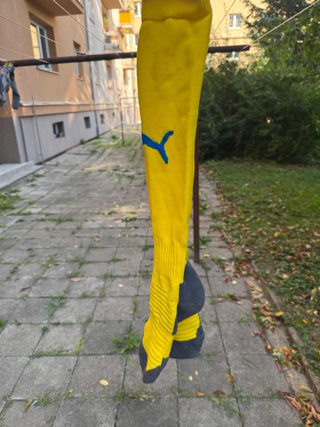 Štulpny, puma