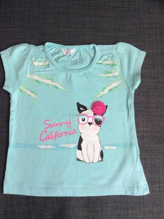 Tričko s pejskem, 74