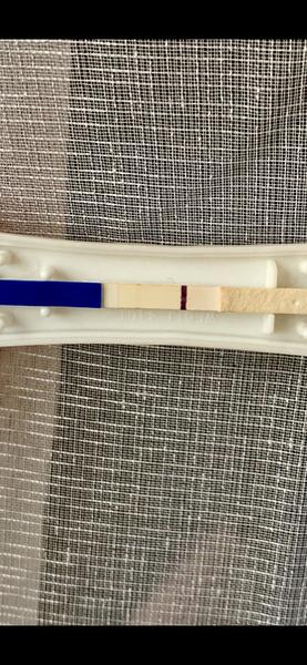 Mamatest Comfort - zkušenosti