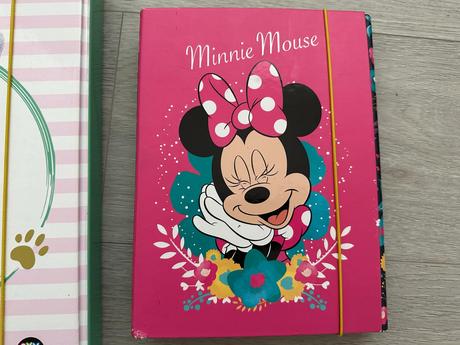 Desky do školy na sešity a učebnice, a5, minnie,