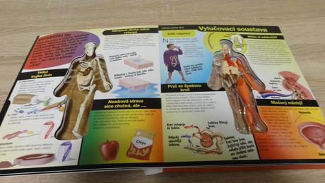 Poznej lidské tělo trojrozměrný pohled do těla, 