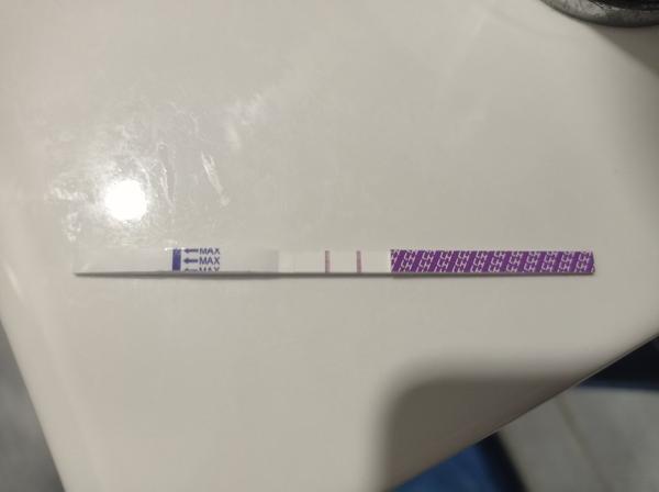 Je ovulační test pozitivní? Diskusní fórum o výsledcích.