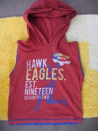 Triko s kapucí, 110