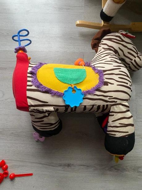 Interaktivní zebra, 