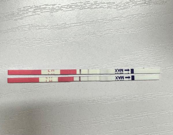 Slábnoucí čárka na ovulačním testu po ovulaci?