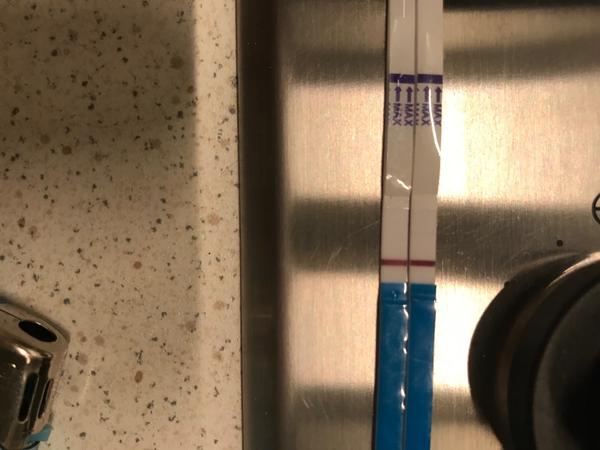 Stále duchové na tt. Jít na krev?