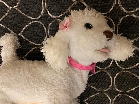 Sada plyšových domácich zvířátek,