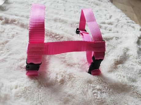 Kšíry - postroj jednobarevný, 