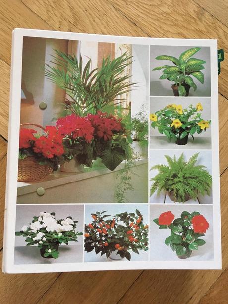 Kniha pokojové květiny od a do z, 