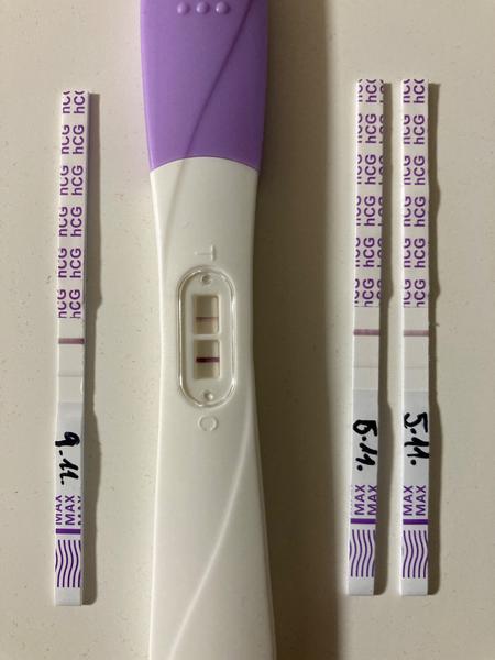 Jak vyhodnotit výsledek těhotenského testu?