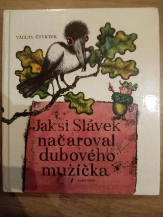 Knížka jak si slávěk načaroval dubového mužíčka, 