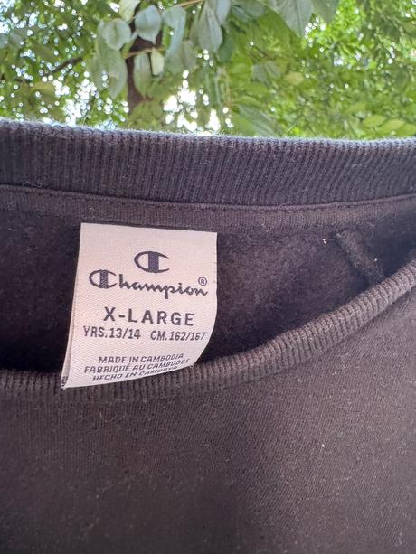 Mikča, champion,158