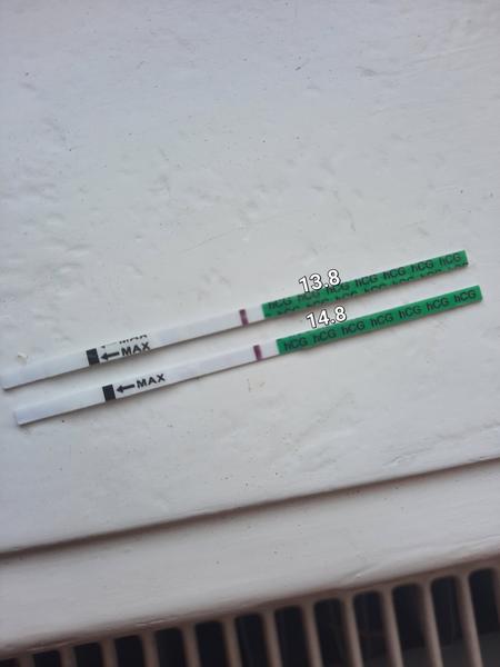 Duch na testu Clearblue po limitu: Jak reagovat?