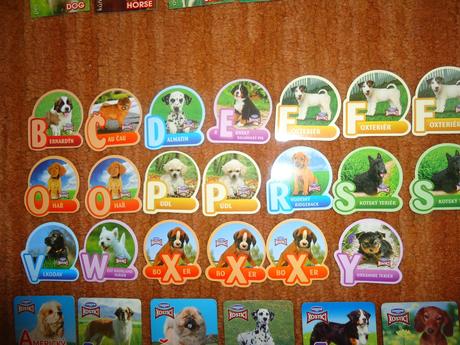 Magnety kostíci pejsci, 