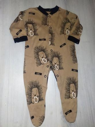 Overal s ježky 62, 62