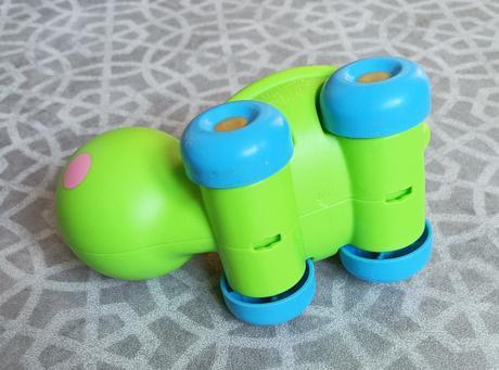 Želva jezdící, chrastící, 