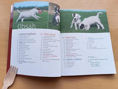 Parson a jack russell terriér - karin wegner, 