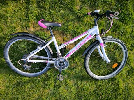 Kolo leader fox 24', 24