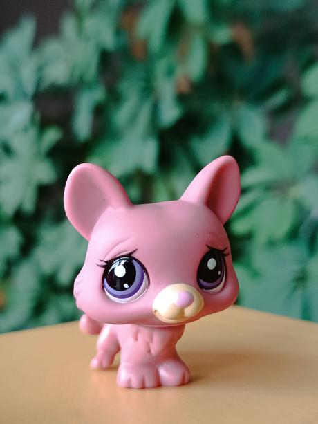 Lps pejsek + pelíšek + deka + kost,