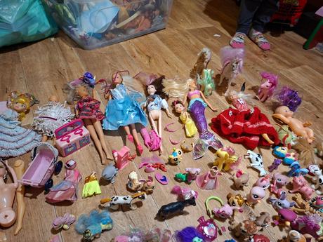 Pejsci,koníci,barbinky, 