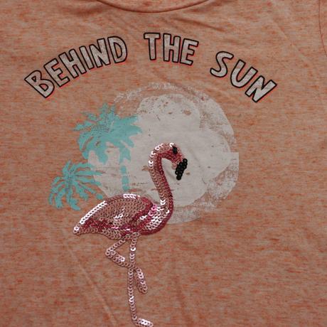 Merunkova barva tricko plamenak 146/152, c&a,146