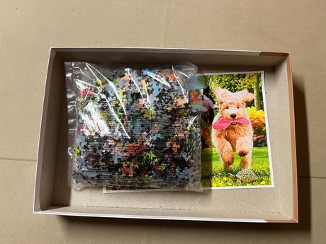 Trefl tea time potíže na obzor - 1000 dílků, 