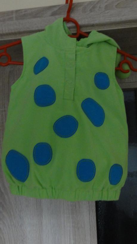 Karnevalový obleček pro děti,