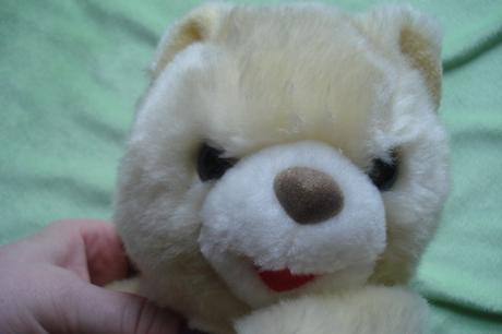 Plyšový medvídek,