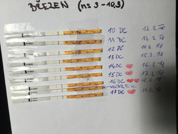 Jsou ovulační testy pozitivní?