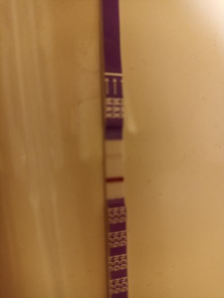 Vidíte slabou čárku na těhotenském testu?