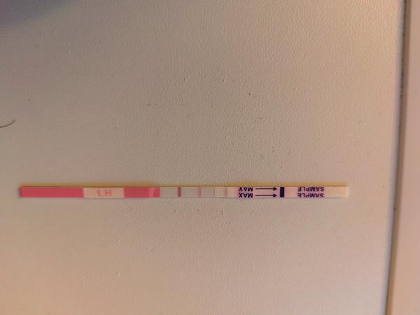 Je to ovulace? Jak poznat plodné dny a příznaky