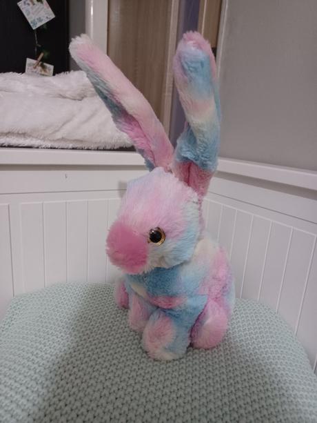 Duhový králík zajíc penny, 