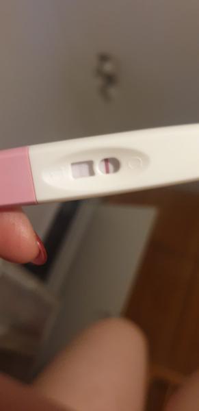 Jsem těhotná, co myslíte?