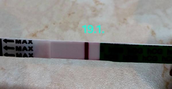 Šance nebo ne? Mohlo se opoždění ovulace projevit na testu?