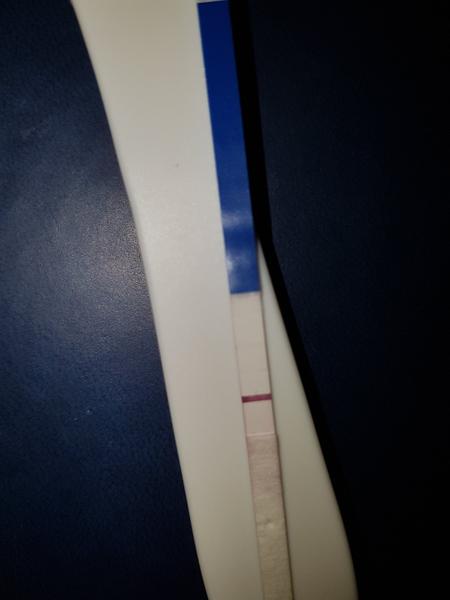 Může to být těhotenství?