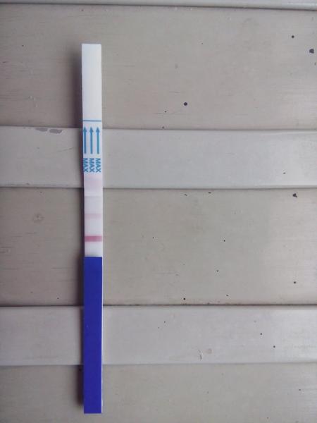 Jsem těhotná nebo ne?