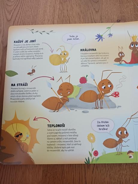 Kniha co se děje v mraveništi., 