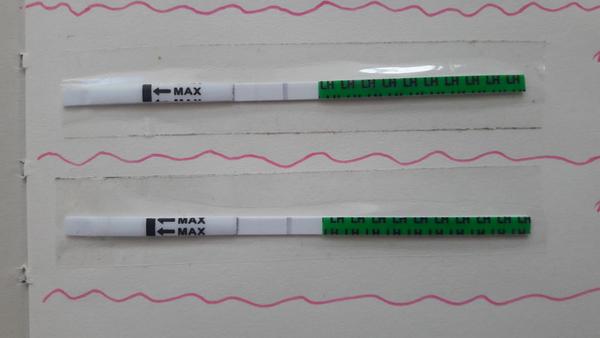 Ovulace - ovul. testy jsou stále negativní. Stalo se to někomu? Bojím se, že neovuluji vůbec.