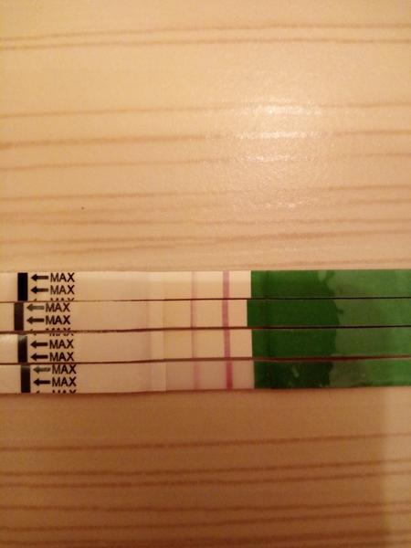 Ovulační test - čárky jsou stále stejně silné