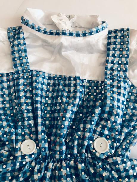 An5/ kostým dorotka ze země oz - v.cca 3/4 roky, 