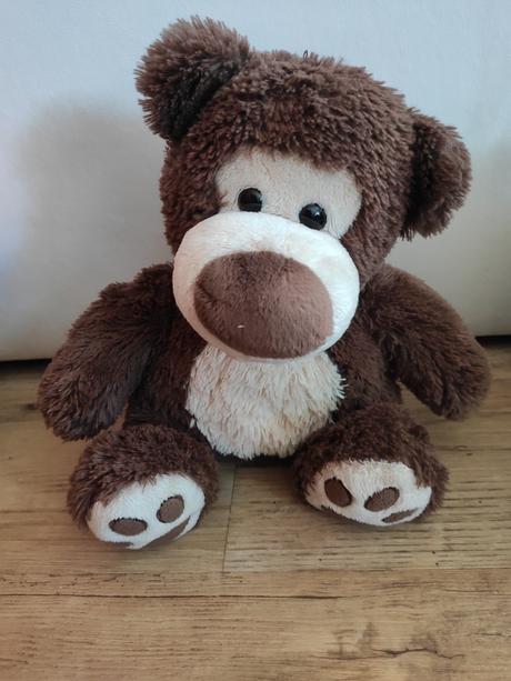 Plyšáci - ijáček, medvěd, dinosaurus, bobr, tygr, 