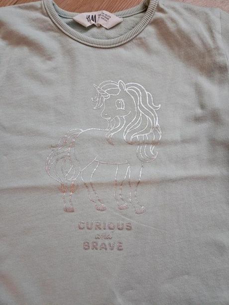 Mikina/tričko h&m, vel. 110/116, h&m,110