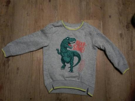 Teplá,hebka mikina dinosaurus 110/116, 116