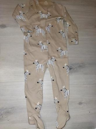 Overal se zebry 80 next, next,80